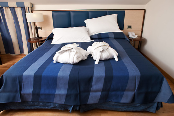 Virgilio Grand Hotel - photo 7