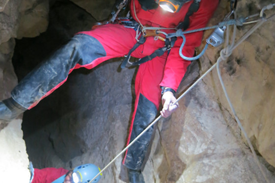 Noa guides - photo 2