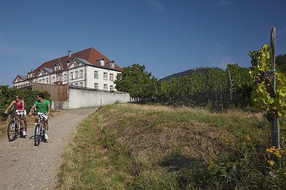 THE ORIGINALS Hôtel Val-Vignes - photo 10