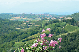 Agriturismo Cascina Zenevrea