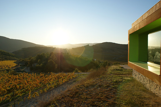 MAS RODO VITIVINICOLA - photo 1