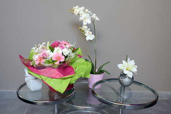 Aesthesis - photo 12