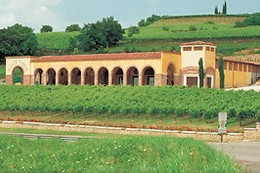 Azienda Agrituristica Montetondo