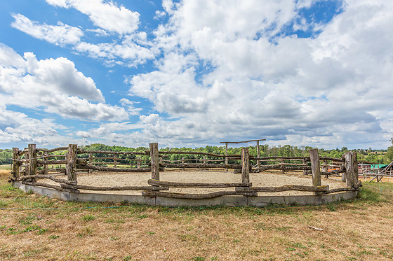 Absa-Ranch - photo 5