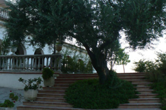 Agri-Club - photo 3