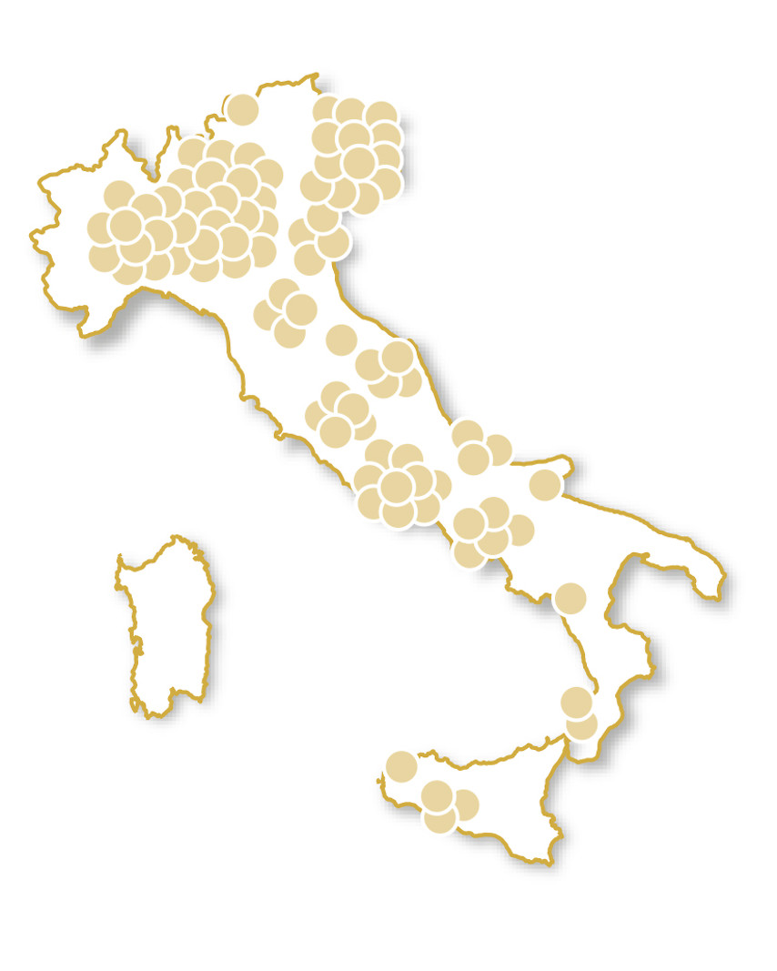 100% motori