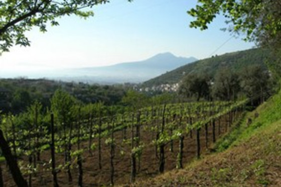 Agriturismo Casa Scola - photo 0