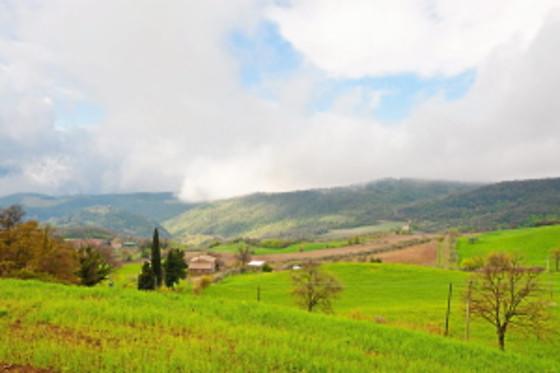Agriturismo I Trocchi - photo 5