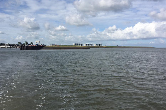 Wadlopen Pieterburen - photo 1