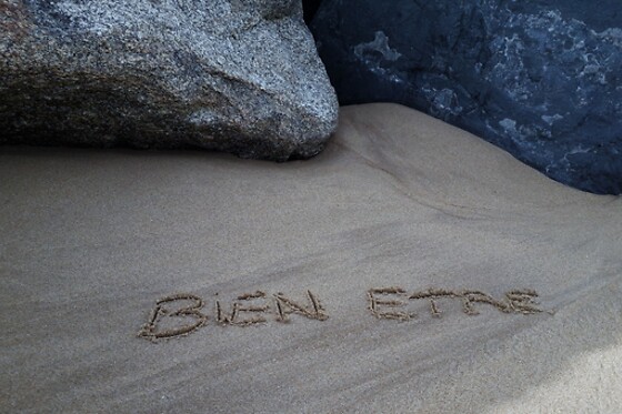 Les Essences De La Vie - photo 4
