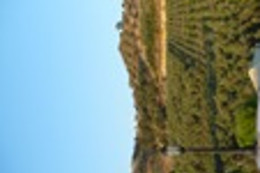 Agri-Club