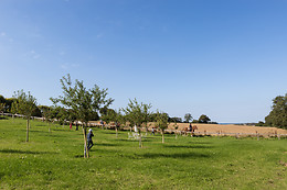 Sables d'Or Equitation