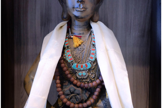 Ben Chi - photo 8