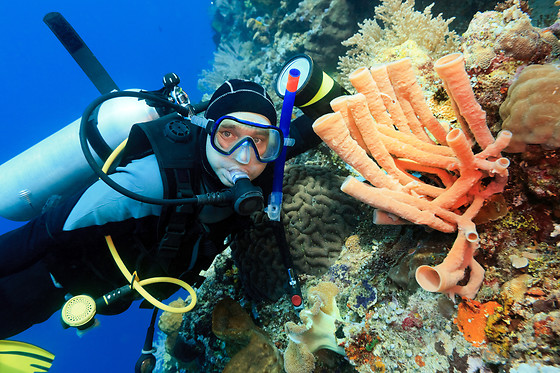 SCUBA PLUS - photo 9