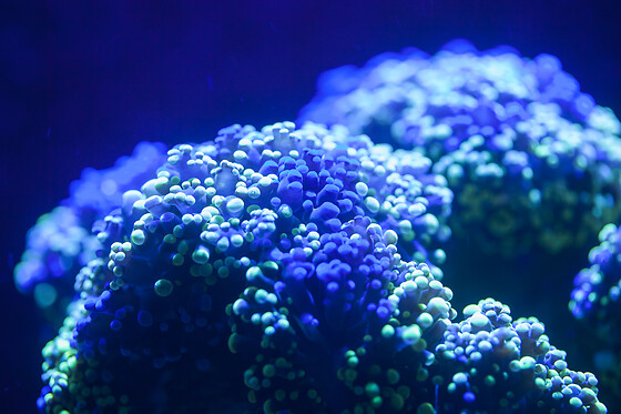 Aquarium de Paris - photo 10