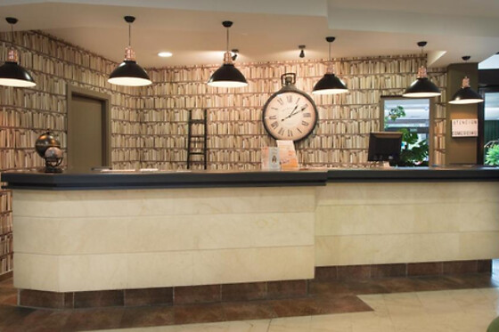 HOTEL SEGOVIA SIERRA DE GUADARRAMA - photo 12