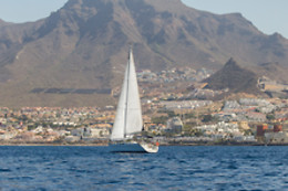 WHITE TENERIFE