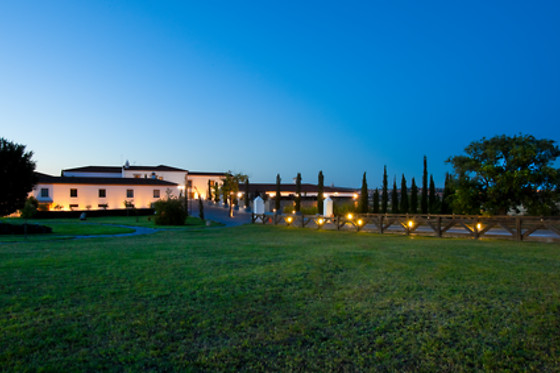 HOTEL PALACIO DE ARENALES & SPA - photo 19