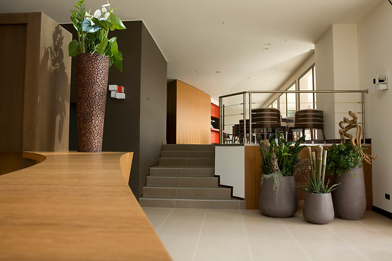 Red's Redaelli Hotel - photo 3