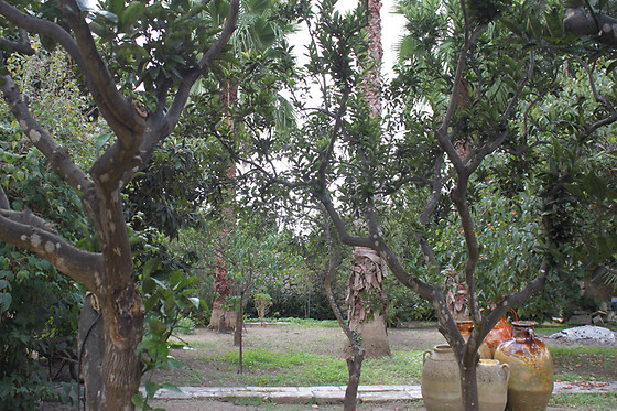 Leccelso B&B - photo 6