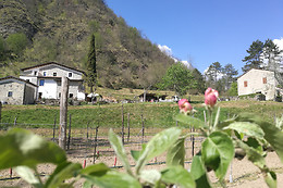 Agriturismo Di là dall'Acqua