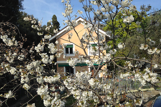 B&B La Rosa Segreta - photo 4