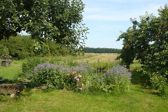 Lilac Cottage - photo 28