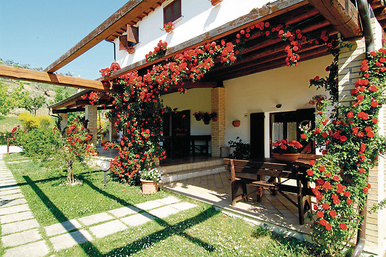 Agriturismo Il Portico - photo 3