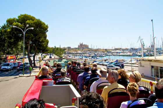 CITY SIGHTSEEING PALMA DE MALLORCA - photo 7