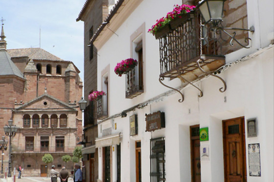 HOTEL RURAL LA MORADA DE JUAN DE VARGAS - photo 3