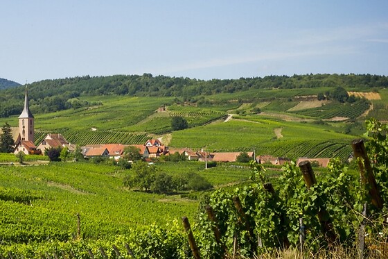 DETOUR ALSACE - photo 17