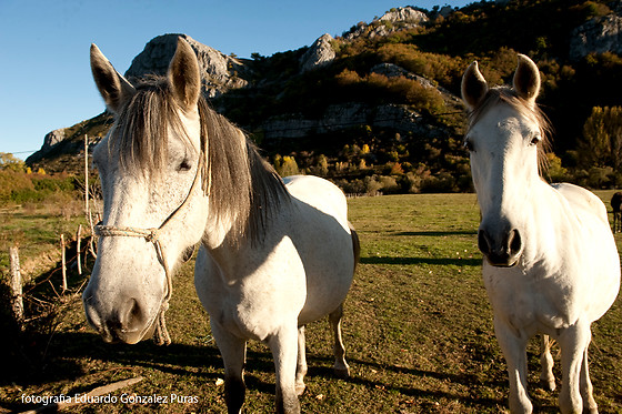 CASA RURAL ENTRE VALLES - photo 12