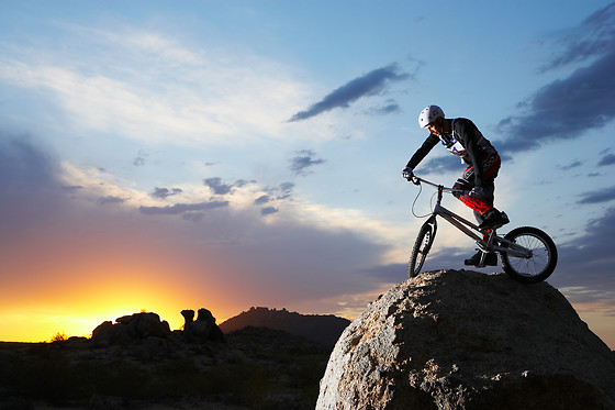 ALPINE PROJECT - photo 0