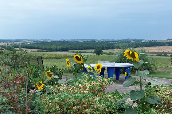 Domaine des Cadets de Gascogne - photo 5