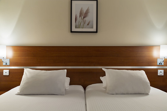 Comfort Hotel Aeroport Lyon St Exupery - photo 11