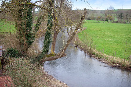 Le domaine des terres du Thil - photo 16