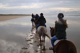 Centre équestre des dunes