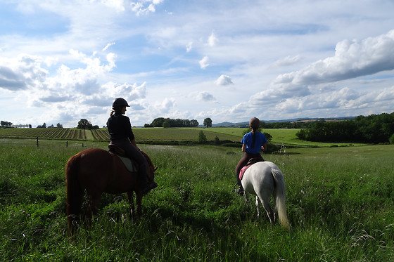 Un Poney, une histoire - photo 2