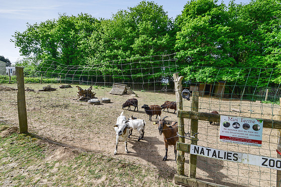 Camping des cerisiers - photo 3