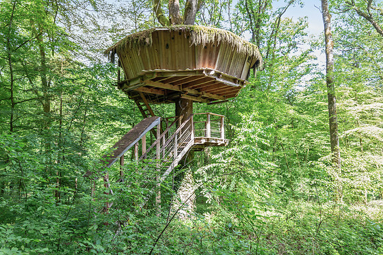 L'Arbre à Cabane - photo 0