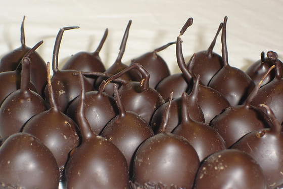 Les gourmandises d'Aliénor - photo 1
