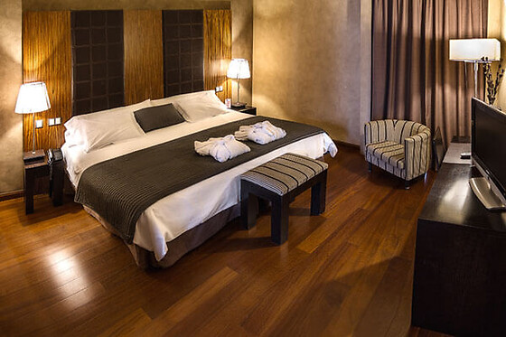 HOTEL & SPA LA SALVE - photo 7