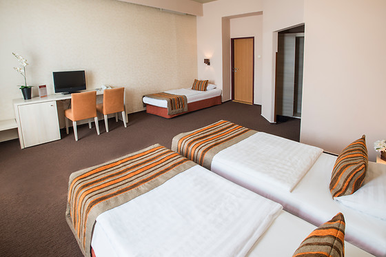 Star City Hotel - photo 13