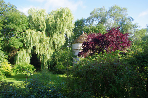 L'écrin du Serein - photo 2