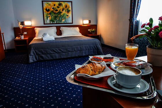 Hotel Glis - photo 1