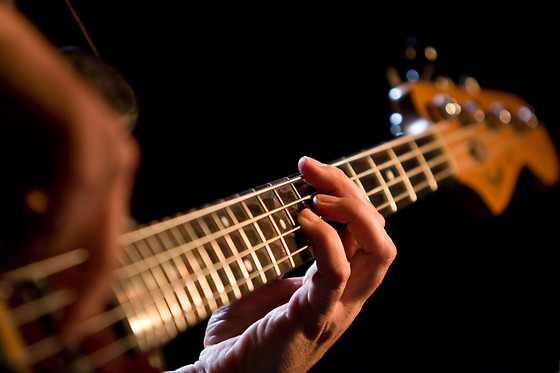 Ludic Music - photo 0