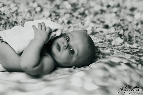 Antho Photographie - photo 0