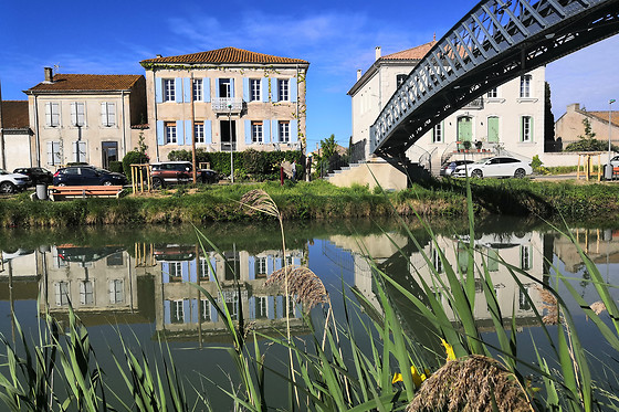 Les volets bleus - photo 0