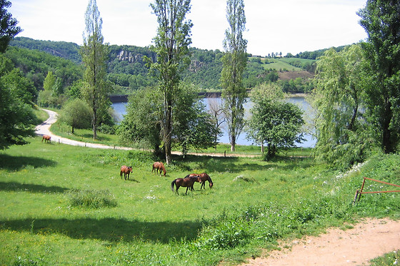 Ferme du Lac - photo 8