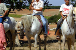 LA HIPICA